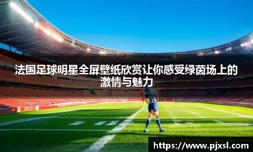 法国足球明星全屏壁纸欣赏让你感受绿茵场上的激情与魅力