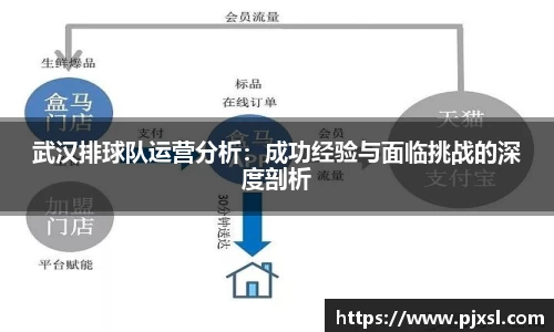 武汉排球队运营分析：成功经验与面临挑战的深度剖析